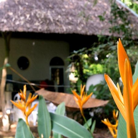 Kim'S Garden Vila Anda  Exterior foto