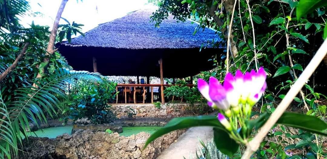 Kim'S Garden Vila Anda  Exterior foto