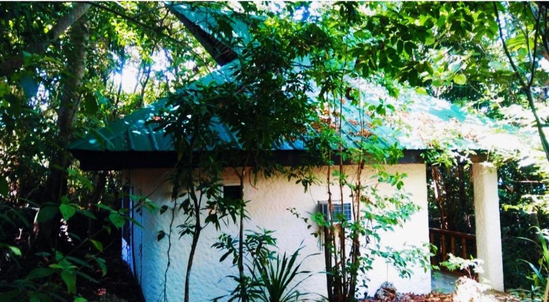 Kim'S Garden Vila Anda  Exterior foto