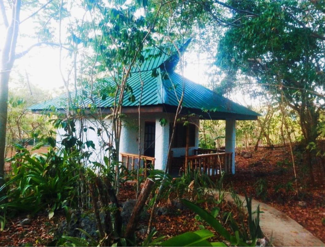Kim'S Garden Vila Anda  Exterior foto