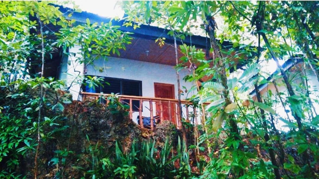 Kim'S Garden Vila Anda  Exterior foto