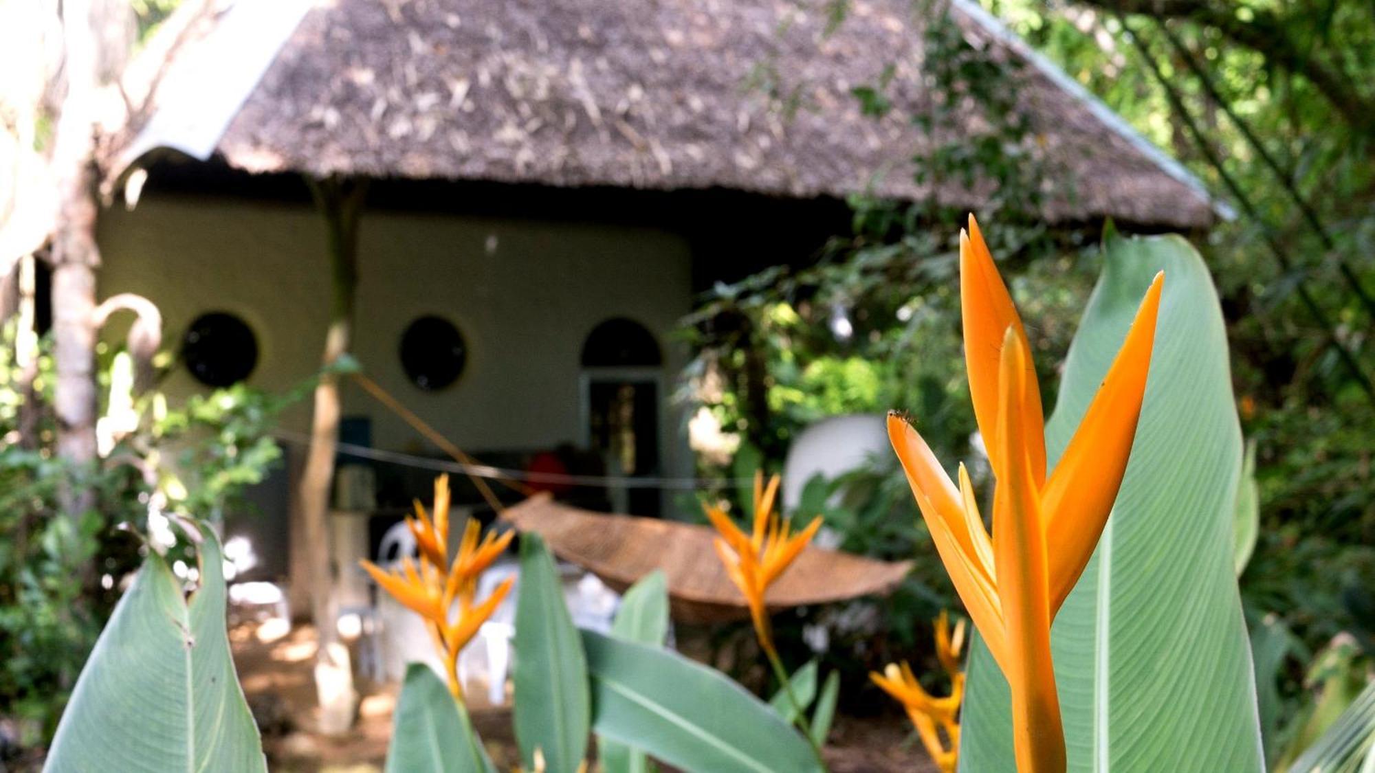 Kim'S Garden Vila Anda  Exterior foto