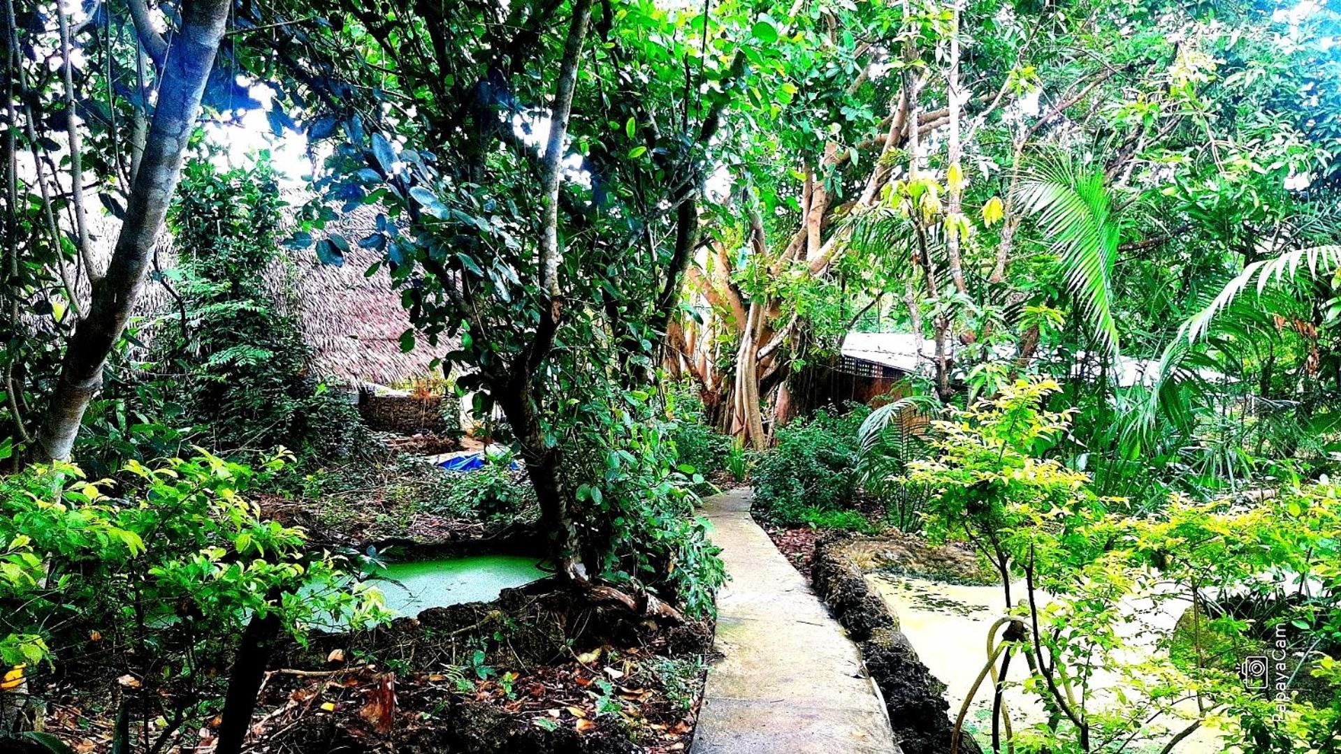 Kim'S Garden Vila Anda  Exterior foto