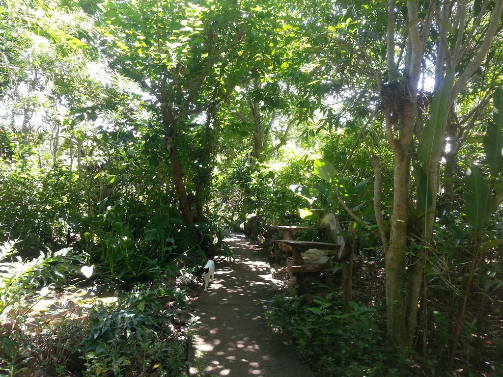 Kim'S Garden Vila Anda  Exterior foto