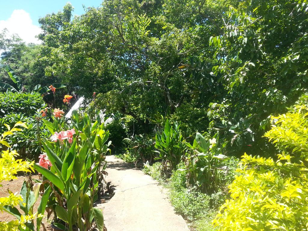 Kim'S Garden Vila Anda  Exterior foto