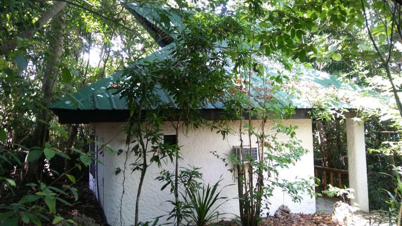 Kim'S Garden Vila Anda  Exterior foto